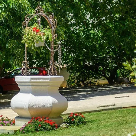 Damjan * بوريتش